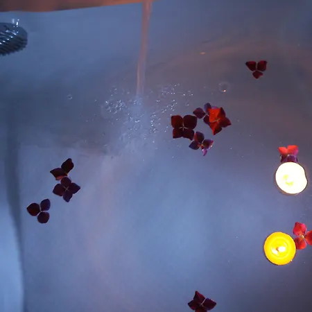 호텔 Rural Alves - Braga - Casa Alves De Torneiros 펜소