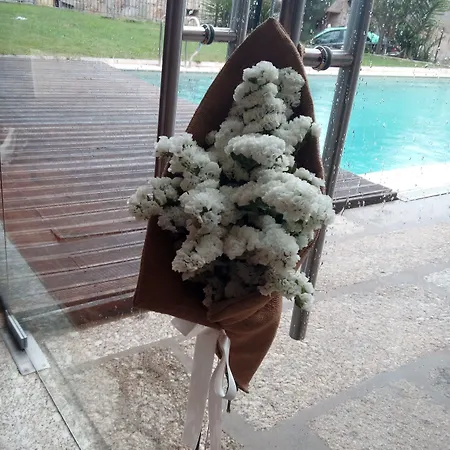 Rural Alves - Braga - Casa Alves De Torneiros Hotell