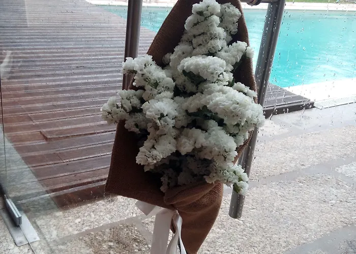 Rural Alves - Braga - Casa Alves De Torneiros Hotel